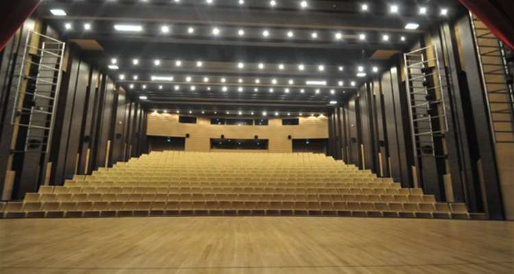  Pamukkale University Conference Hall