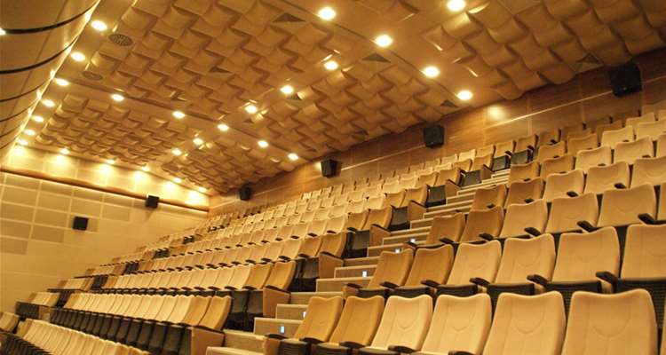 Acoustical Wood Ceiling Panels