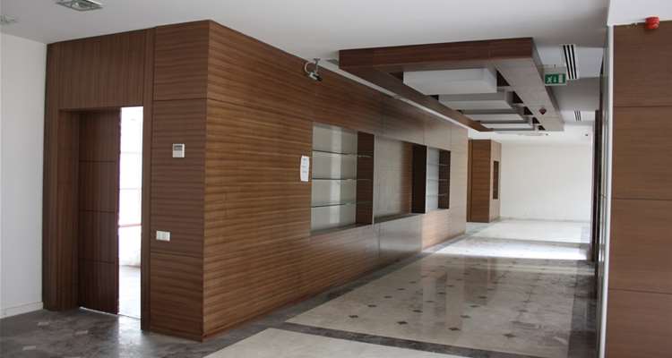 Acoustical Wood Doors