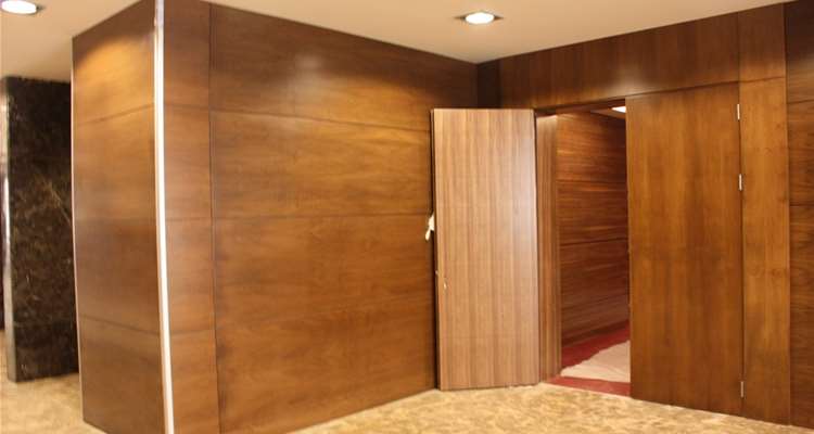 Acoustical Wood Doors