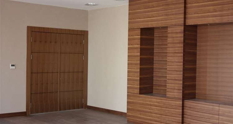 Acoustical Wood Doors