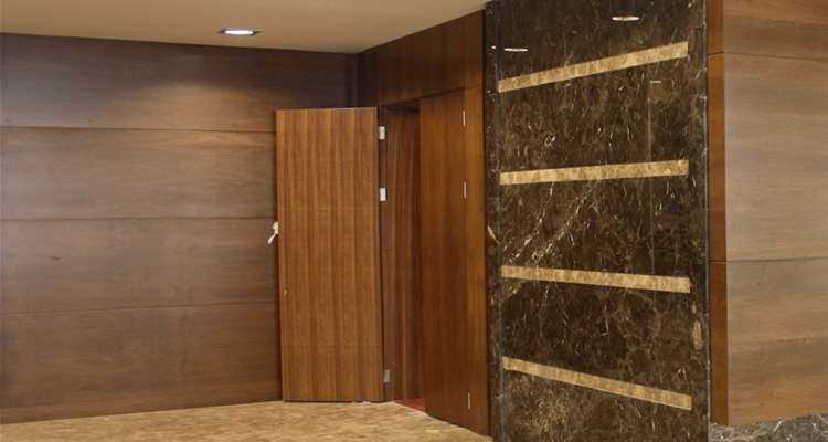 Acoustical Wood Doors