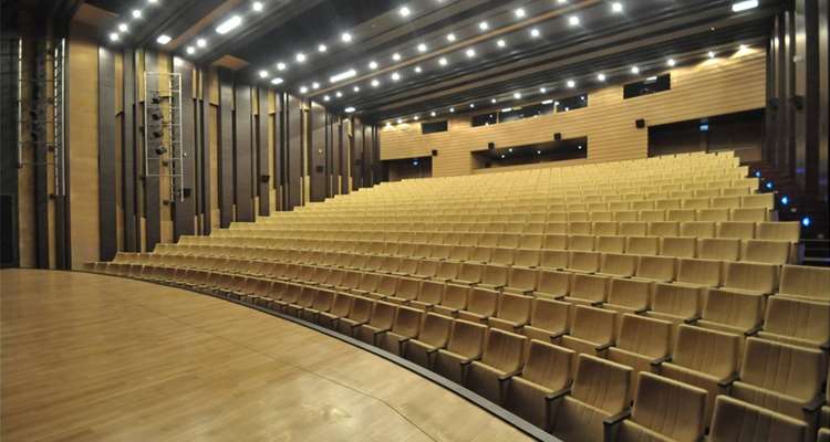  Pamukkale University Conference Hall