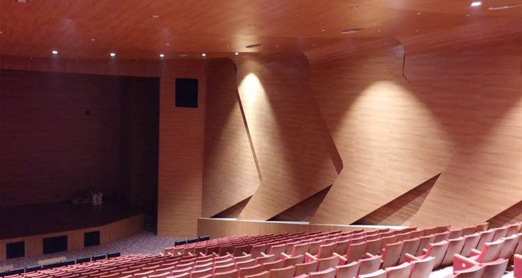 Africa Oyala Twin Towers Auditorium & Movie Theaters